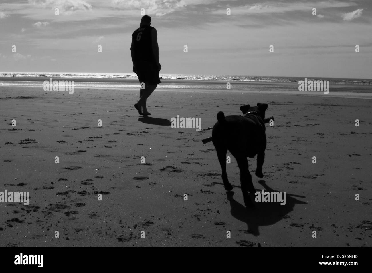 Homme Marchant Le Chien Sur La Plage En Noir Et Blanc Banque