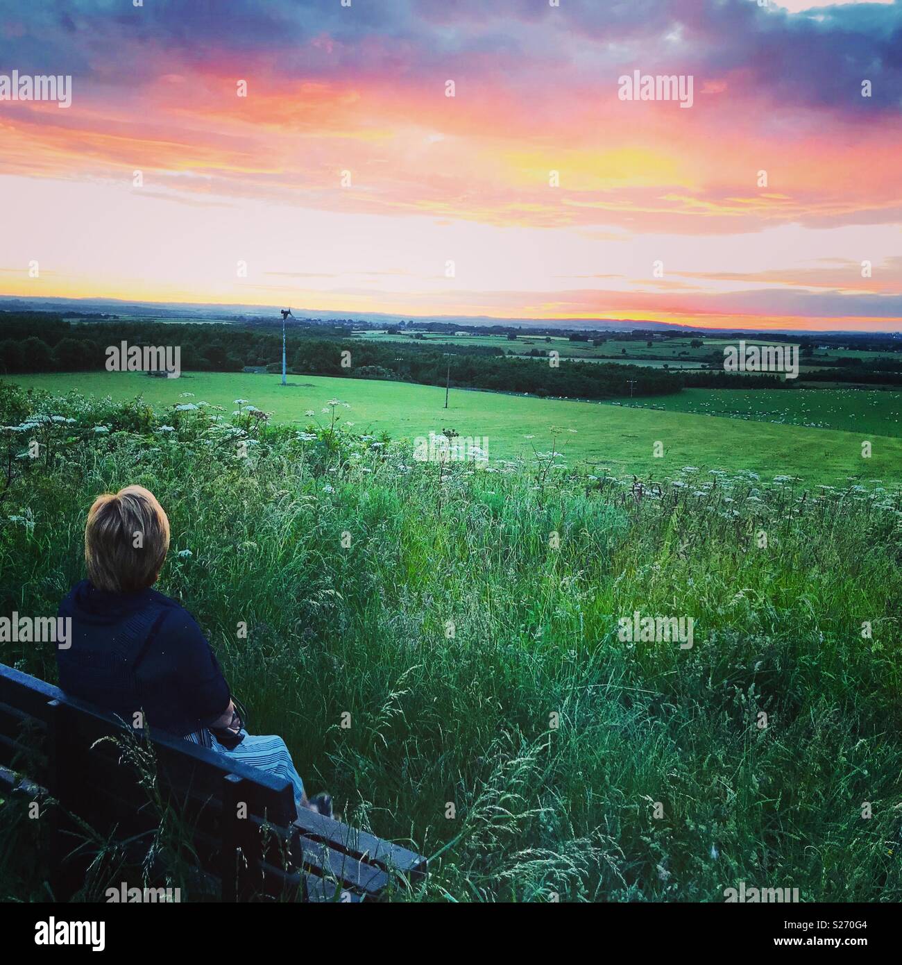 Coucher Du Soleil Sur Les Champs Pour L Anniversaire De La Mere Photo Stock Alamy Coucher Du Soleil Sur Les Champs Pour L Anniversaire De La Mere Photo Stock Alamy