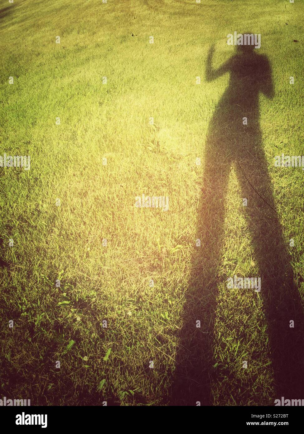 Grande ombre d'une femme dans l'herbe au coucher du soleil jusqu'à la main dans un geste d'arrêt - Image de stock capturée avec un smartphone Grande ombre d'une femme dans l'herbe au coucher du soleil jusqu'à la main dans un geste d'arrêt - Image de stock capturée avec un smartphone