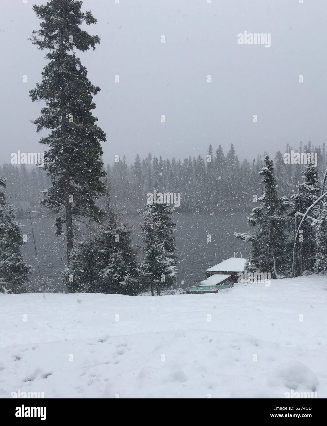 Première chute de neige Banque D'Images