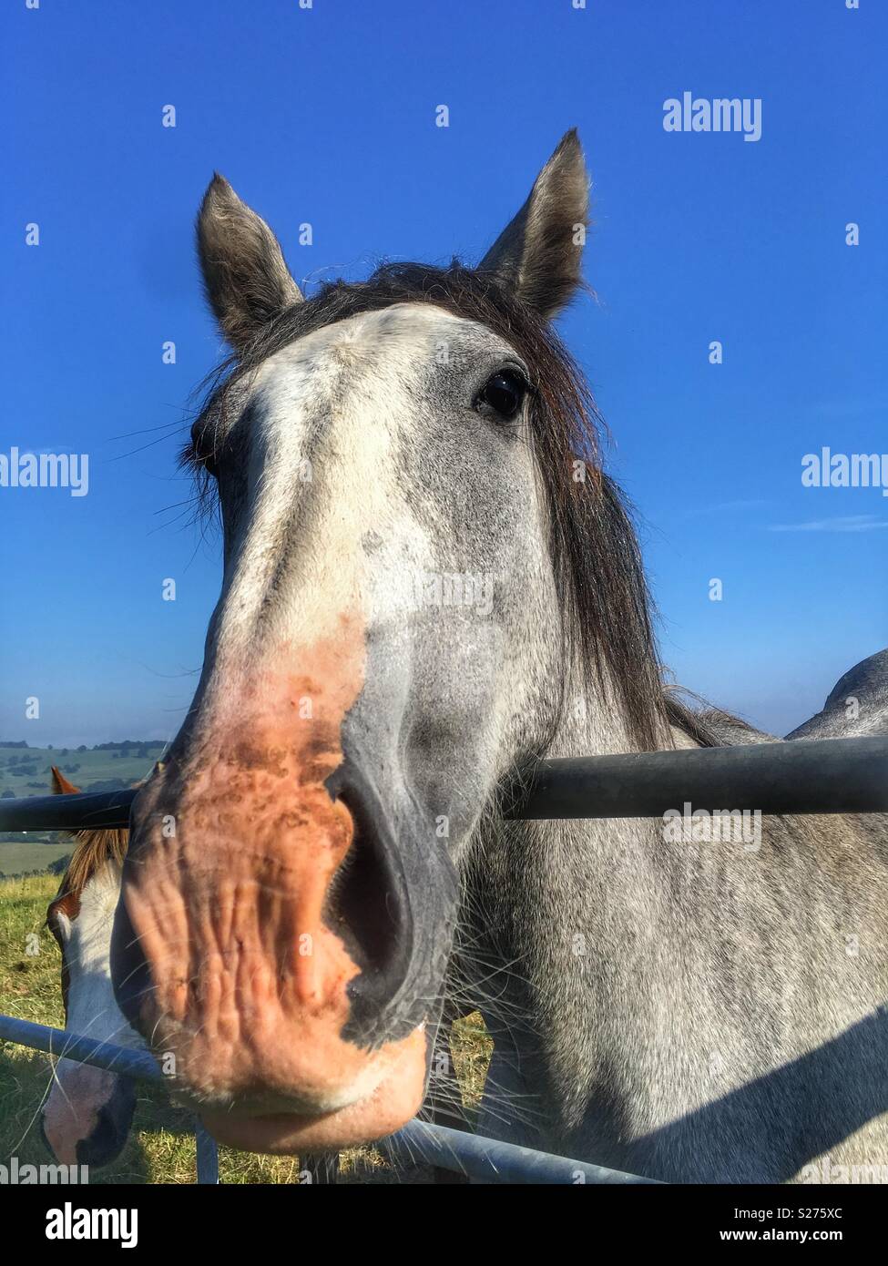 À cheval sur une porte dans le West Yorkshire Guiseley Banque D'Images