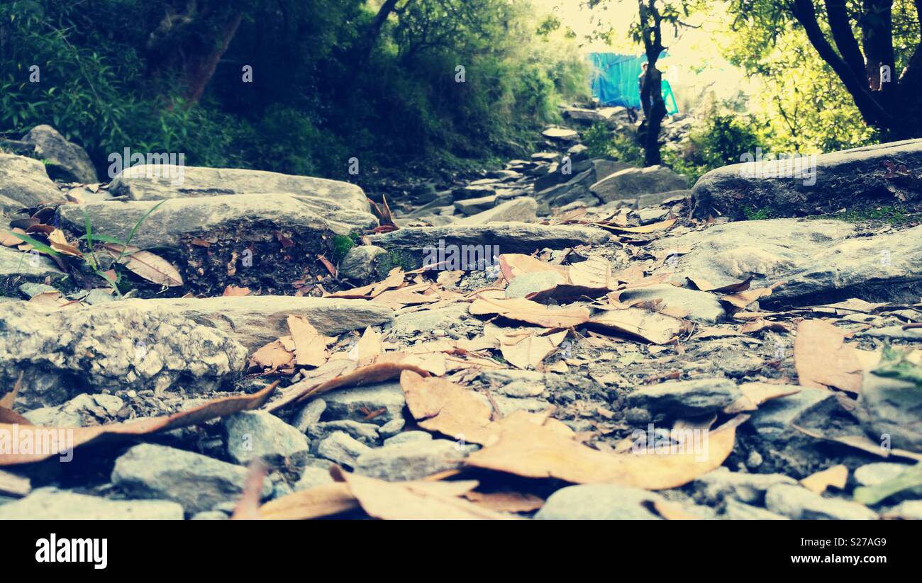 Le trekking et le camping à triund, mcleodganj, Himachal Pradesh, Inde Banque D'Images