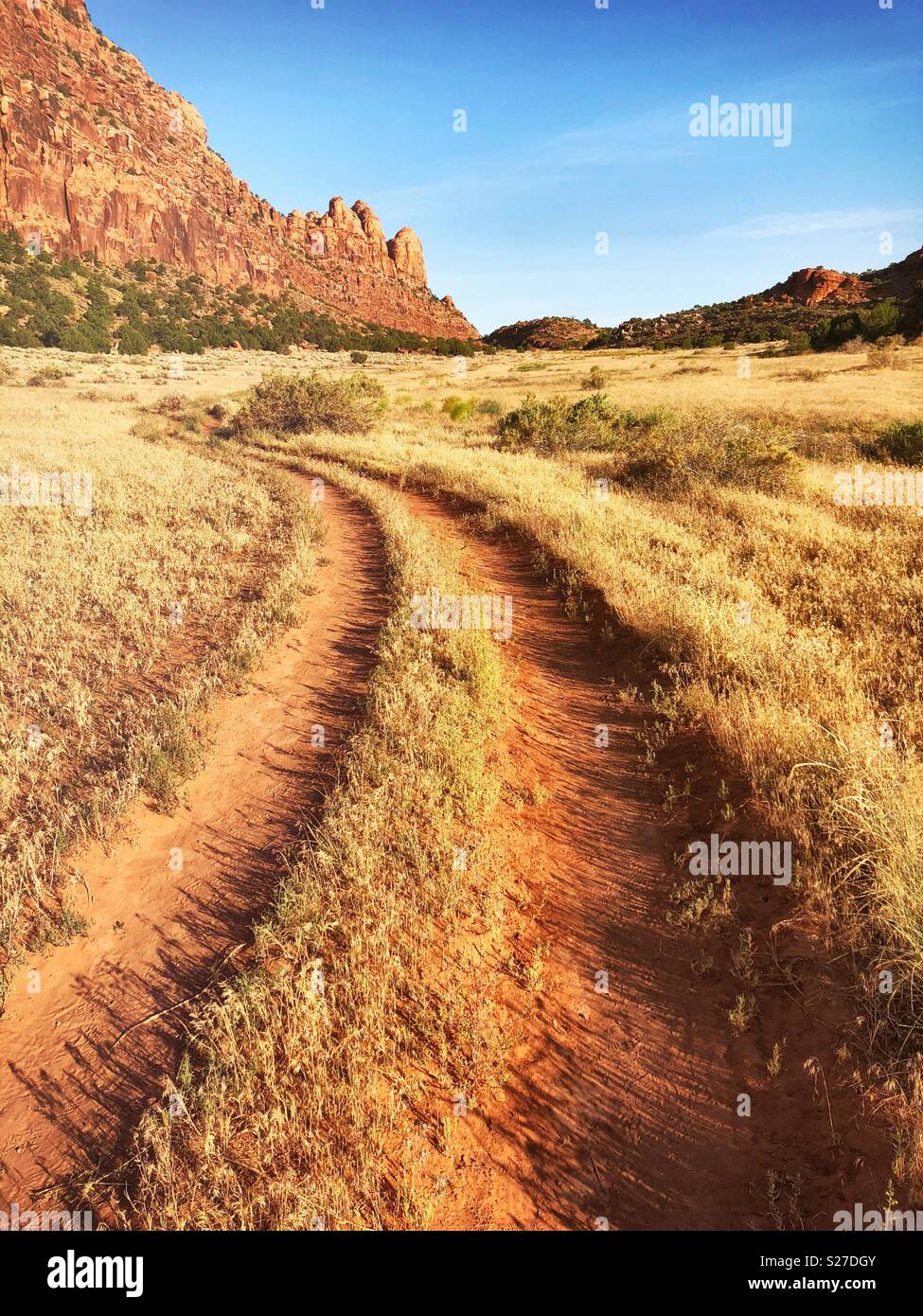Chemin du désert - Image de stock capturée avec un smartphone