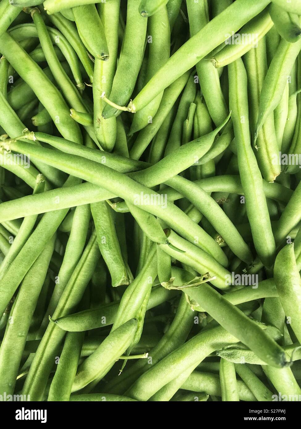 Les haricots verts Banque D'Images