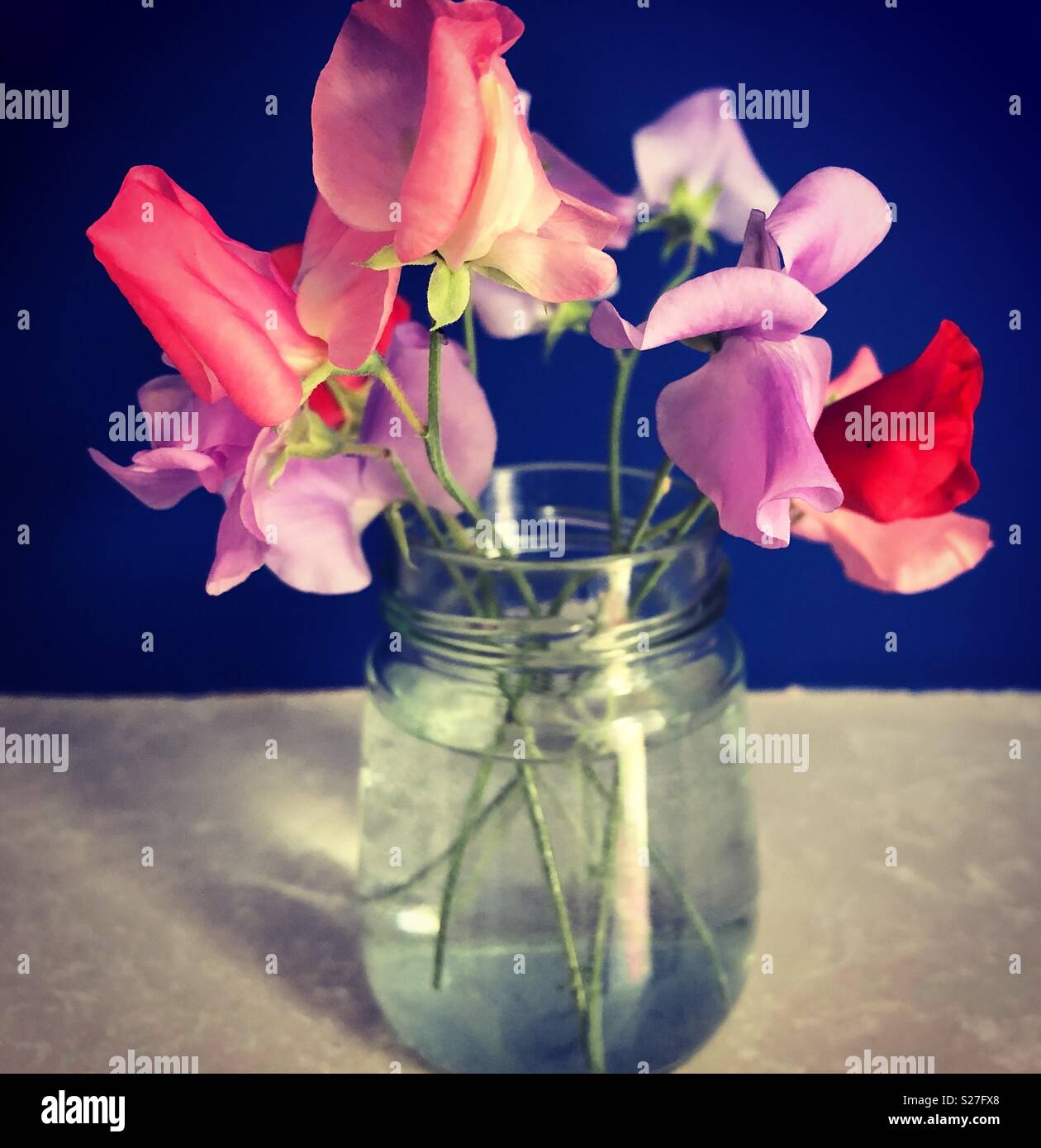 Les petits pois de mon jardin avec un pot de cornichons pour un vase - Image de stock capturée avec un smartphone