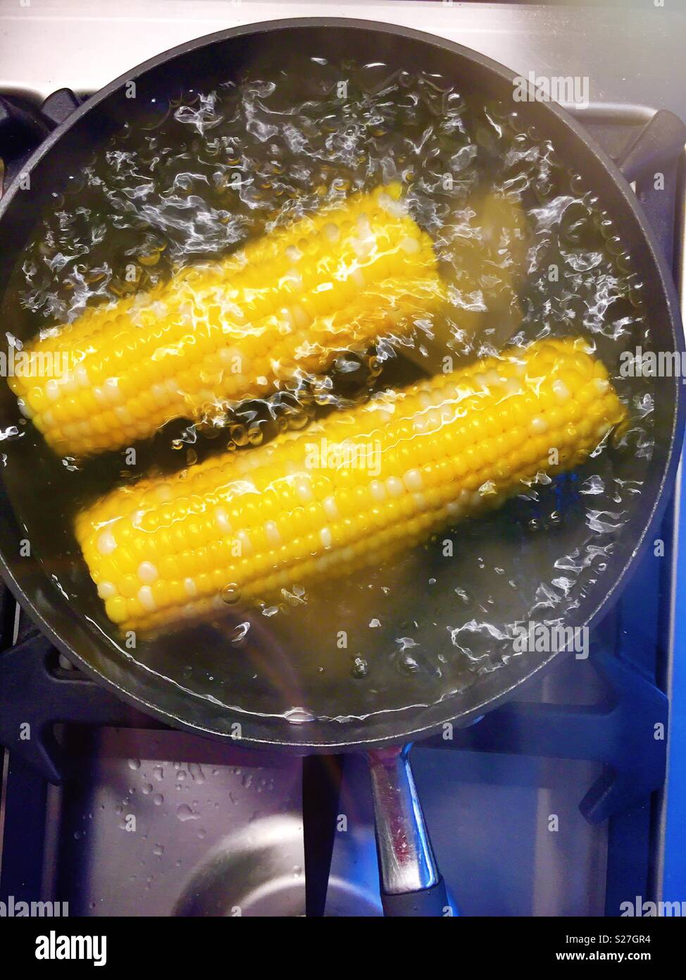 Épis de maïs frais dans l'eau bouillante dans une casserole de cuisson, USA - Image de stock capturée avec un smartphone