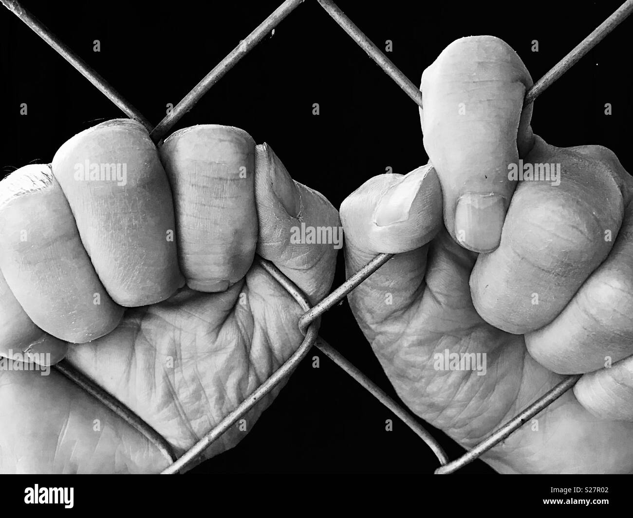 Deux mains saisissant clôture à mailles de chaîne, en noir et blanc Banque D'Images