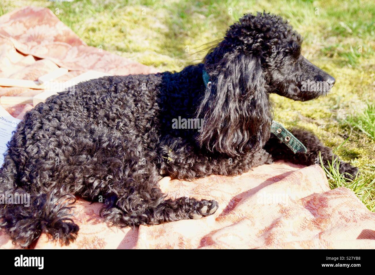 Les loisirs de plein air - Image de stock capturée avec un smartphone