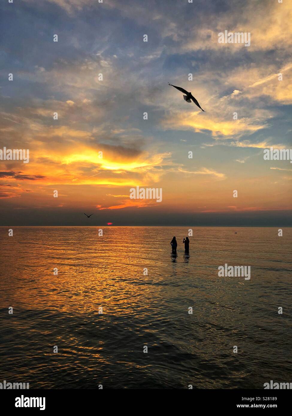 Beau coucher du soleil. - Image de stock capturée avec un smartphone