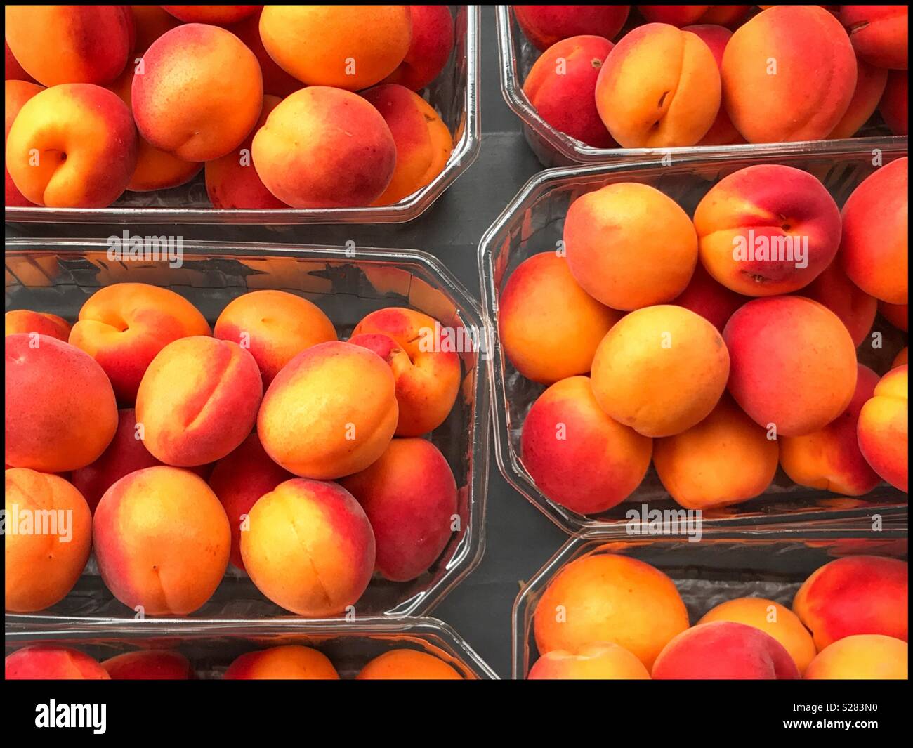 Des barquettes abricots frais en vente à la boutique de légumes locaux. Ils sont beaux, sont savoureux et contribuent à une alimentation équilibrée. Crédits photos - © COLIN HOSKINS. - Image de stock capturée avec un smartphone