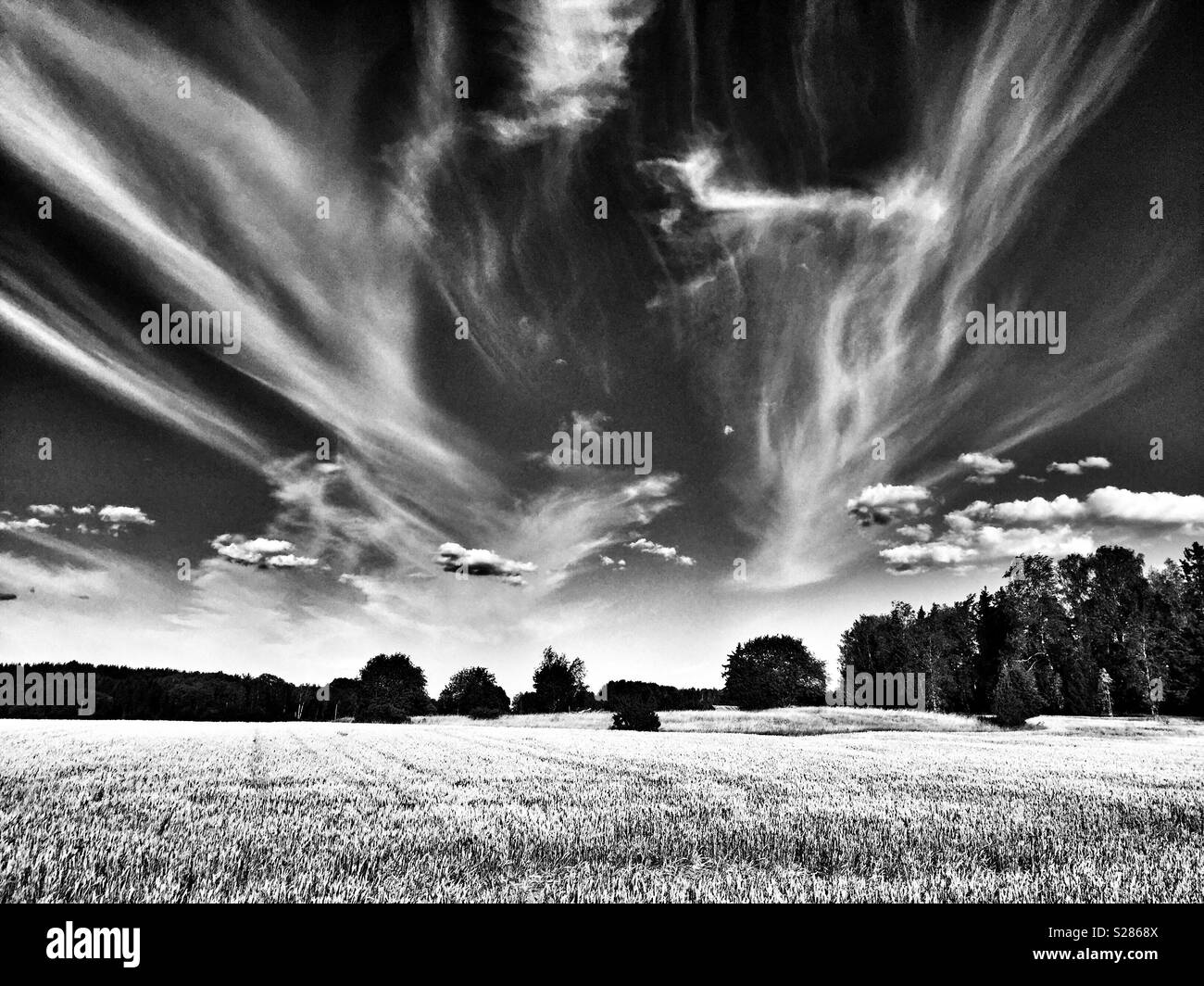 Voir de champs agricoles à Husby-Ärlinghundra l'église, à l'extérieur de l'Arlanda, Sigtuna, Stockholm en Suède. Soleil, ciel bleu et nuages blancs. Banque D'Images