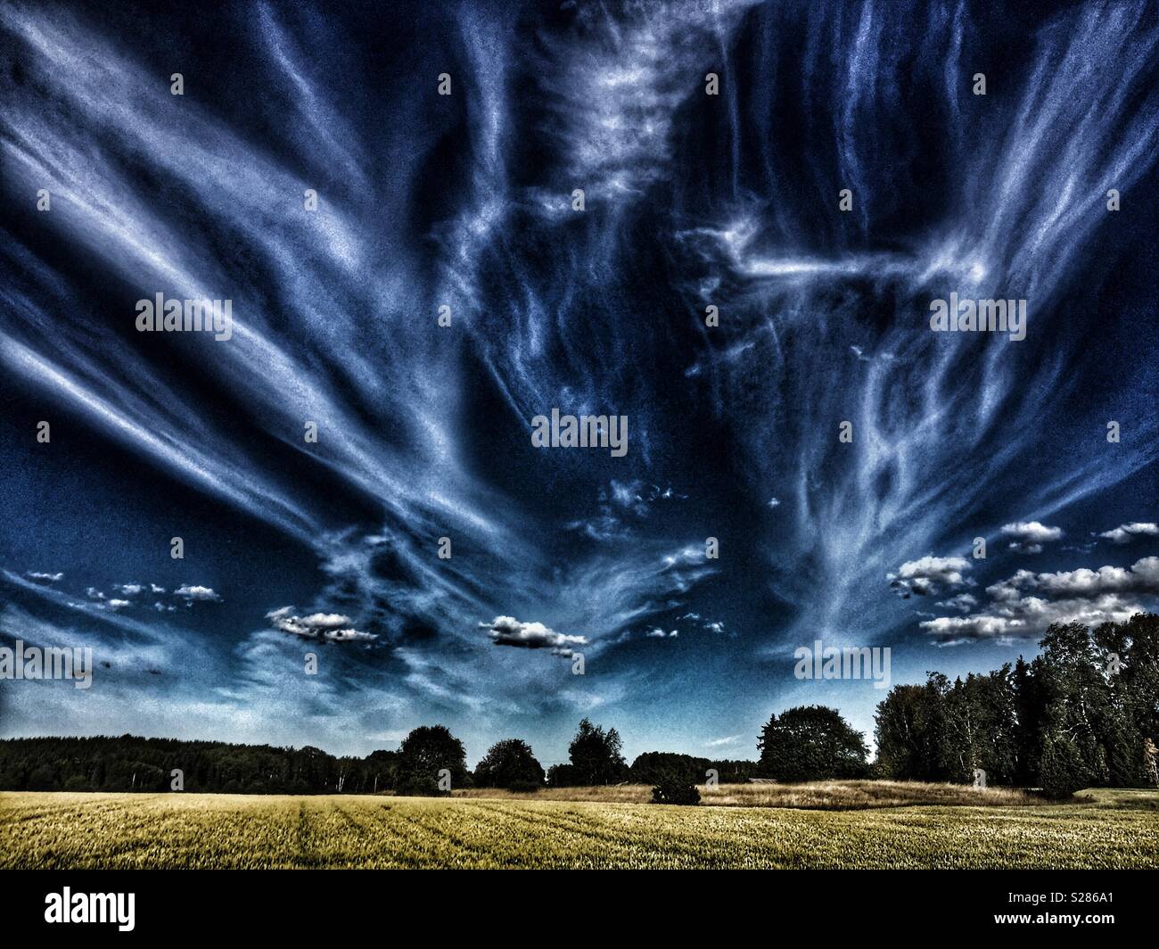 Voir de champs agricoles à Husby-Ärlinghundra l'église, à l'extérieur de l'Arlanda, Sigtuna, Stockholm en Suède. Soleil, ciel bleu et nuages blancs. Banque D'Images