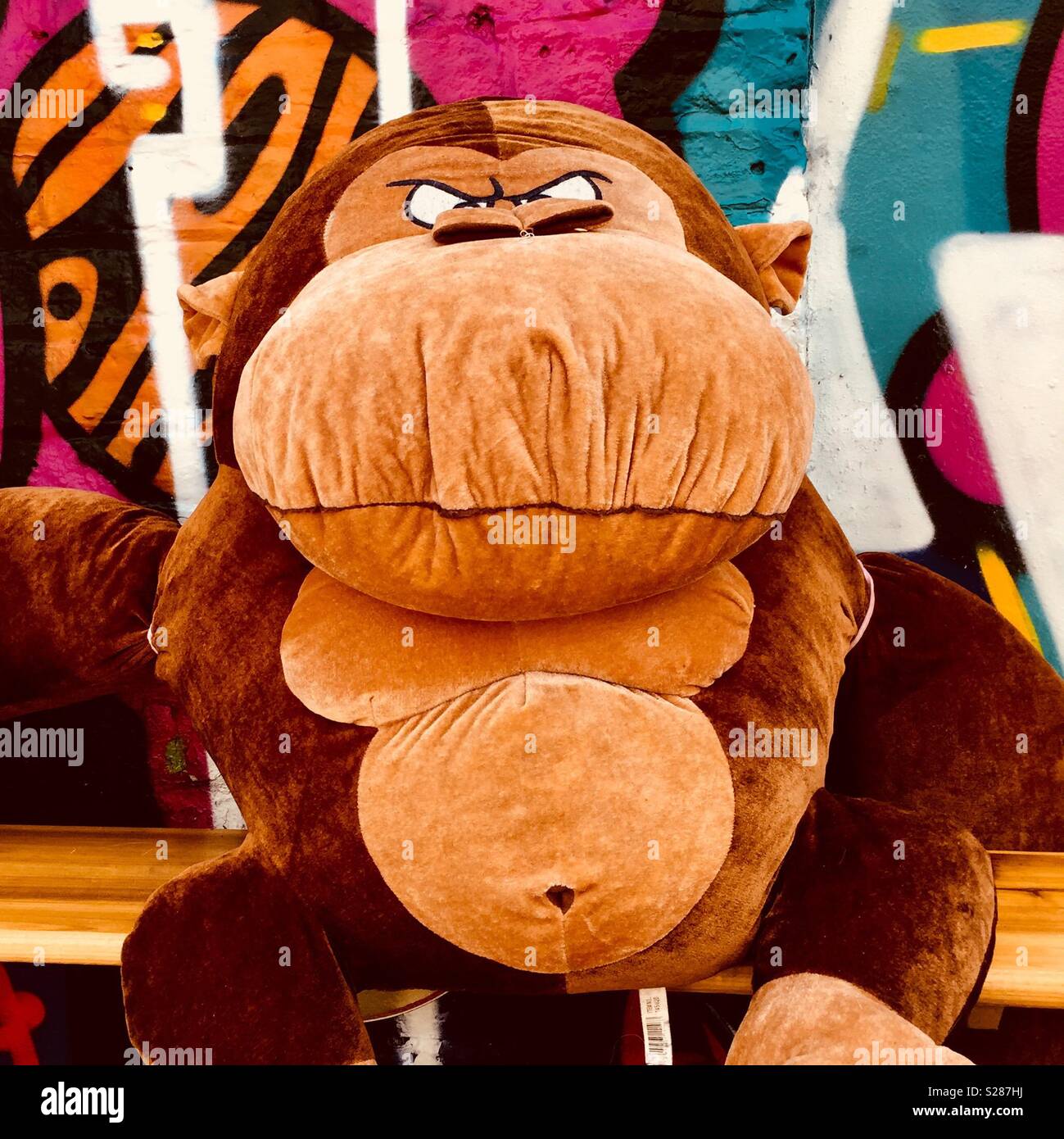 Singe en colère - Image de stock capturée avec un smartphone