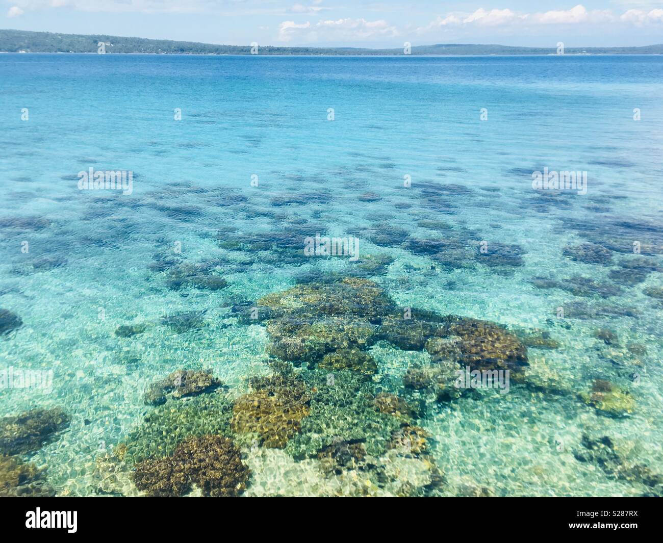 Nemo, où êtes-vous ? (Photo prise à Samal Island, Philippines) Banque D'Images
