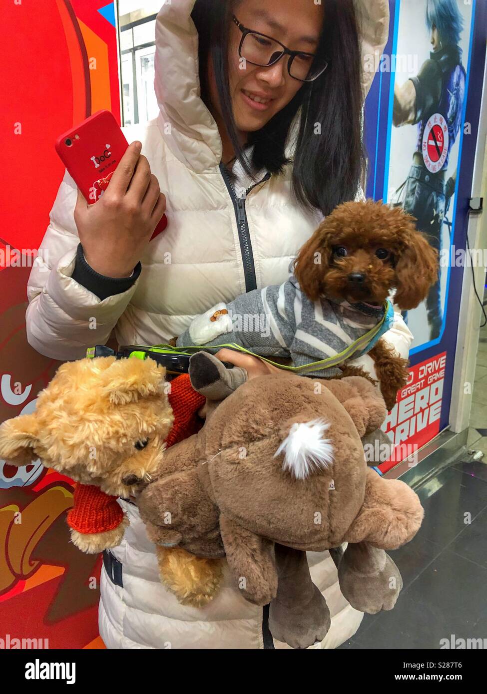 Une jeune femme tenant son petit chien et les animaux en peluche. - Image de stock capturée avec un smartphone