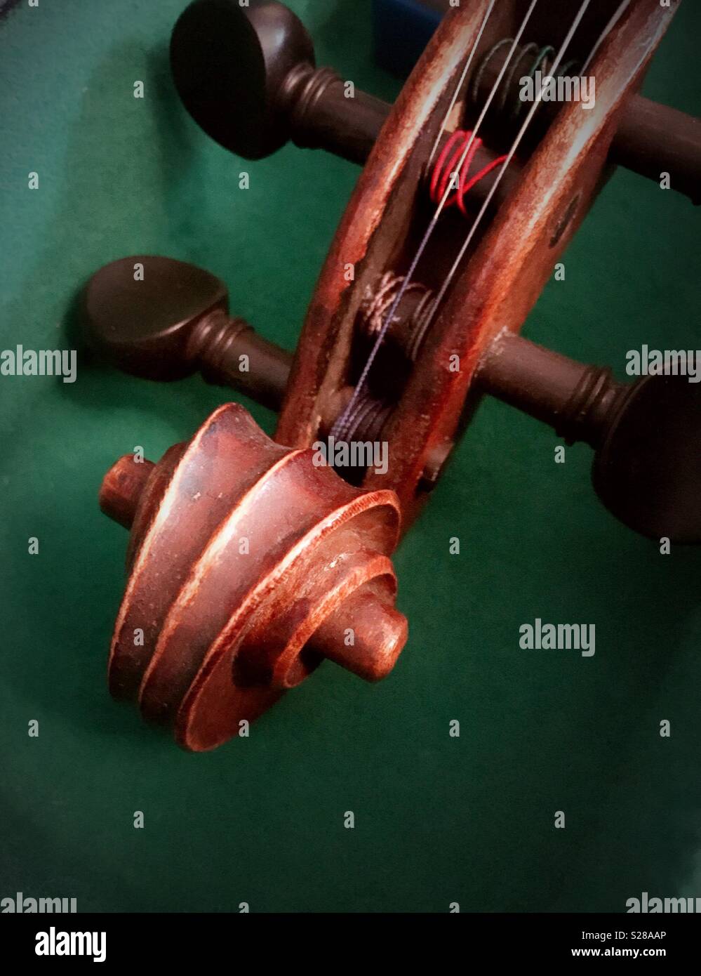 Close up portrait of vintage chevilles violon Banque D'Images