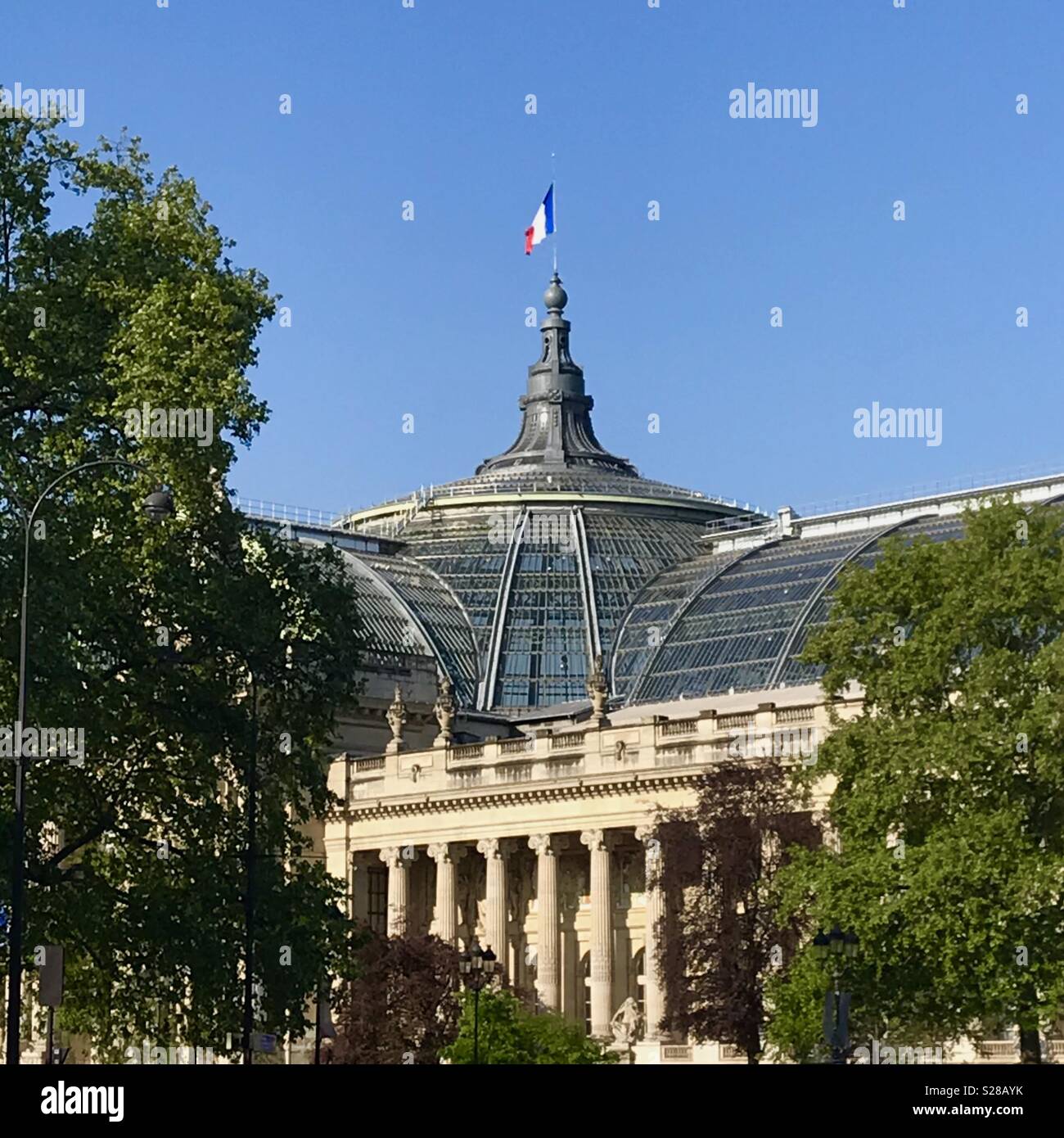 Vue du Grand Palais des Champs-Élysées. Paris, France. Banque D'Images