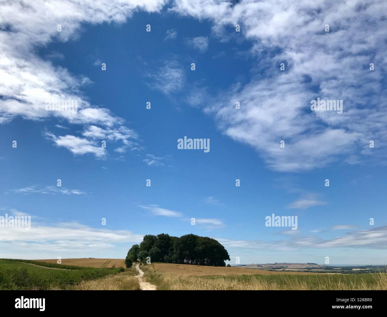 L'été sur l'ancien Ridgeway, près de Hackpen Hill. Banque D'Images