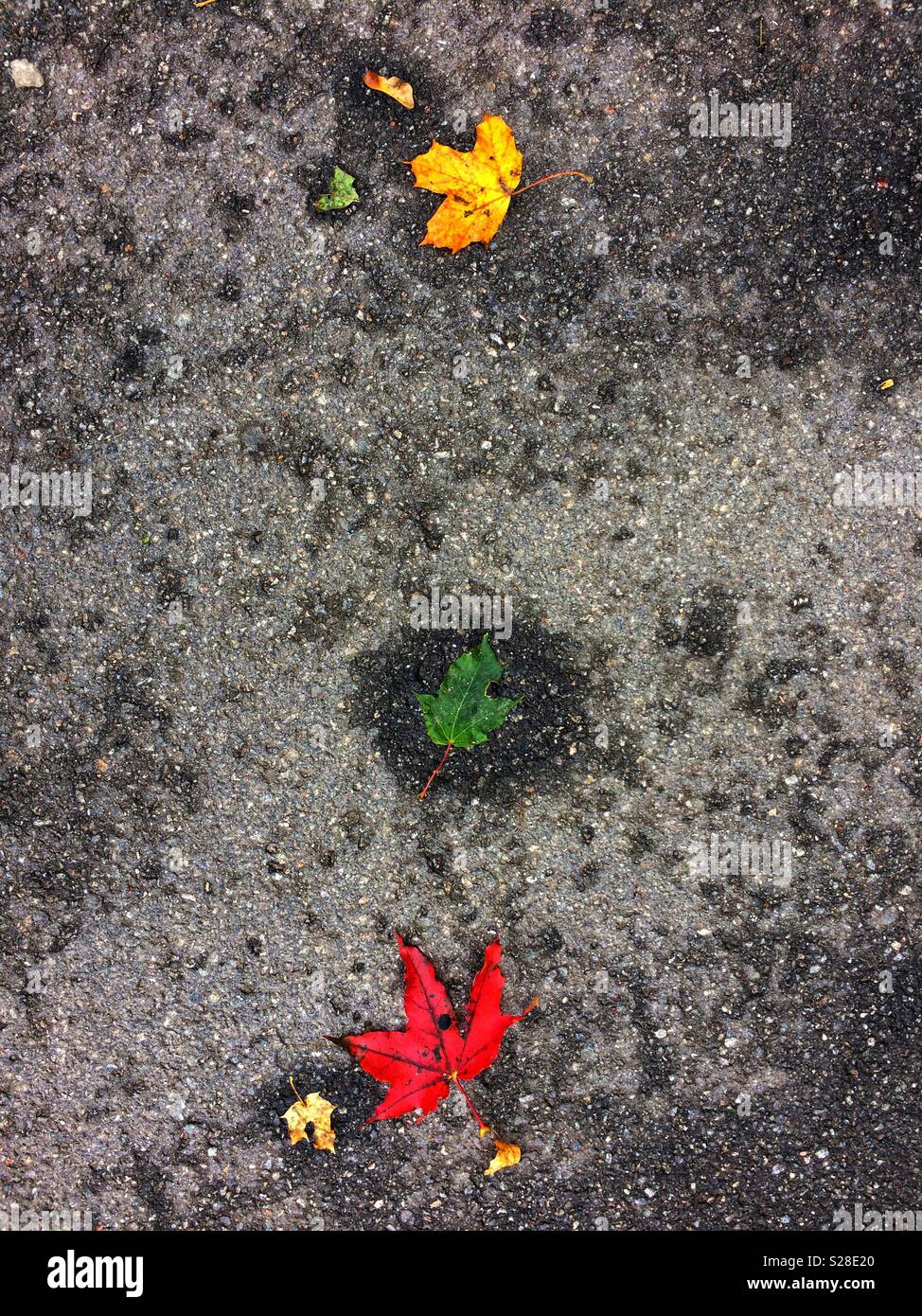 Feu par nature - presque n la séquence de couleur... Banque D'Images
