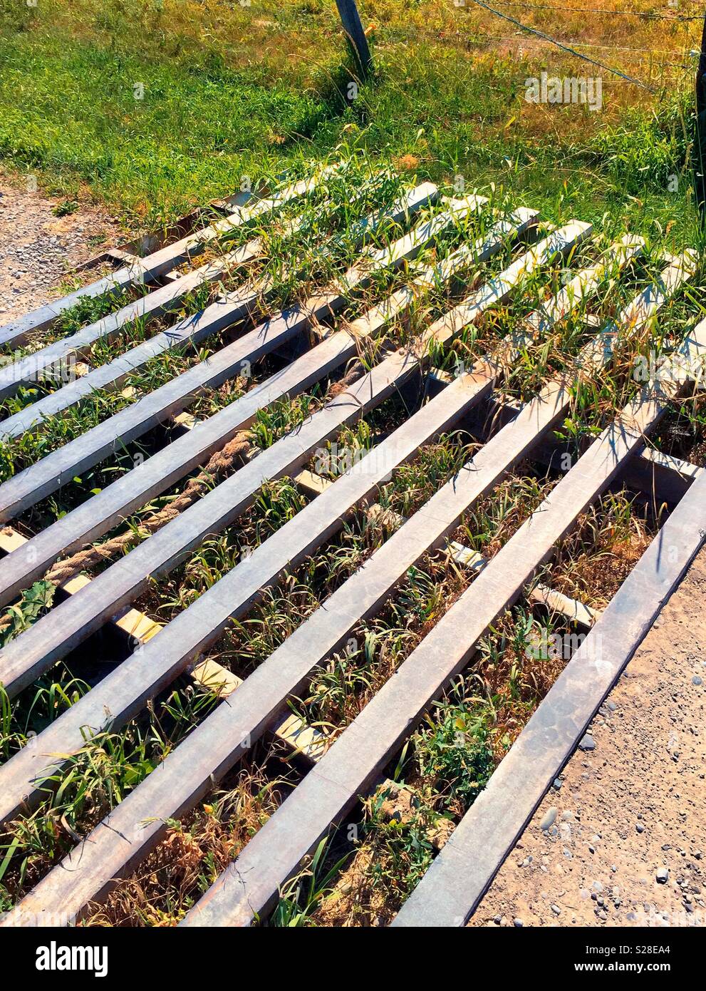 Cattleguard dans un ranch Road, Montana, USA Banque D'Images