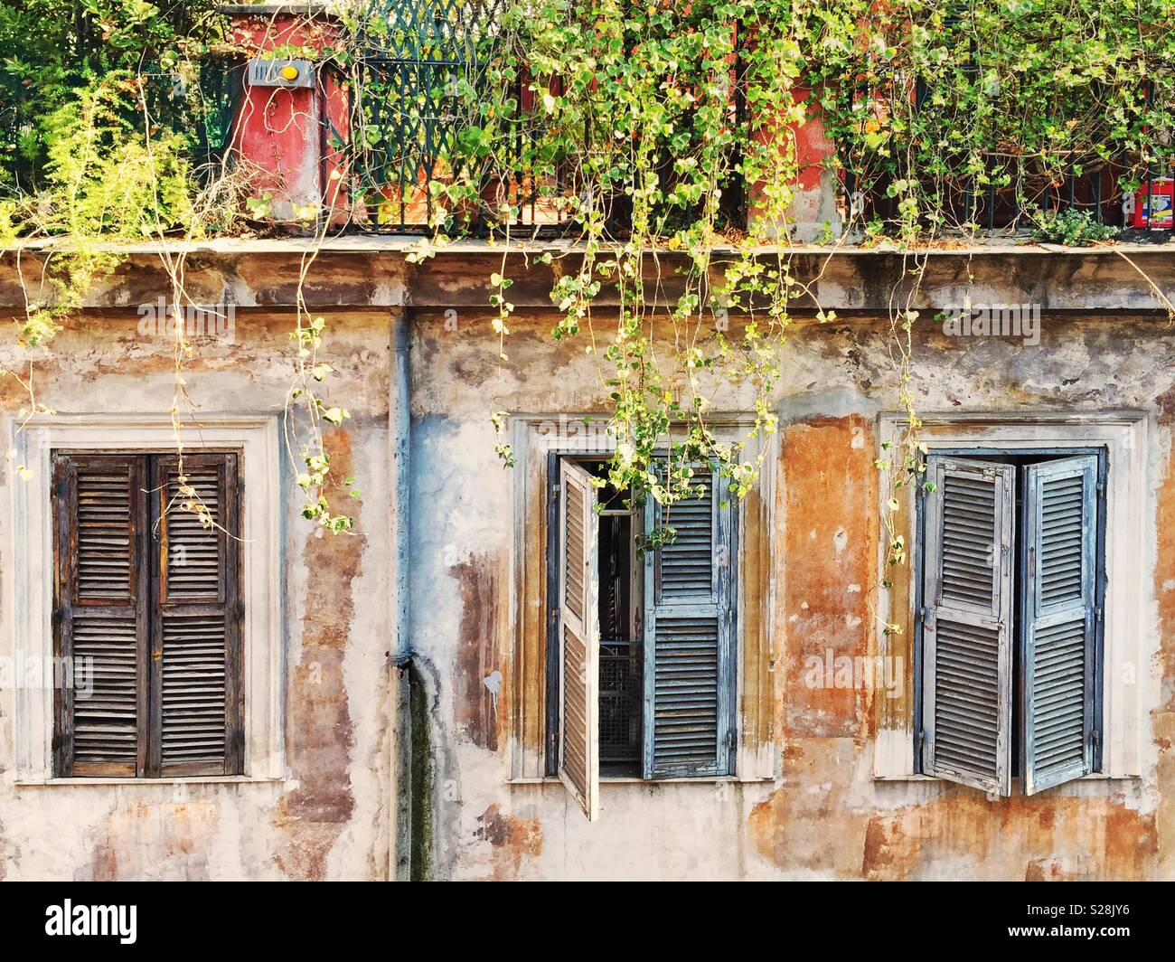 Trois vieilles fenêtres avec volets fermés et de suspendre l'herbe. L'architecture européenne - Image de stock capturée avec un smartphone