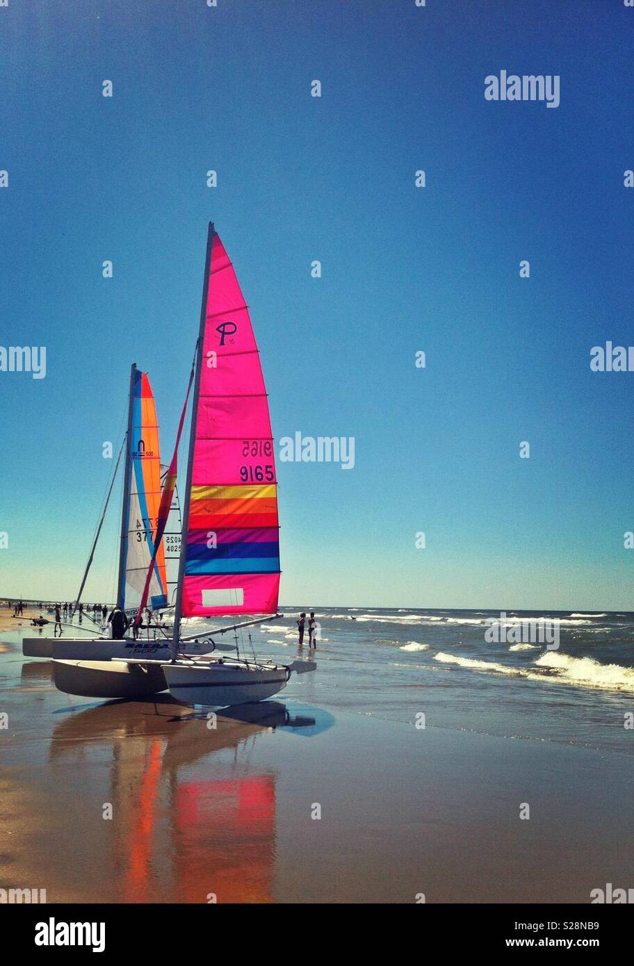 Catamaran coloré dans la plage Banque D'Images