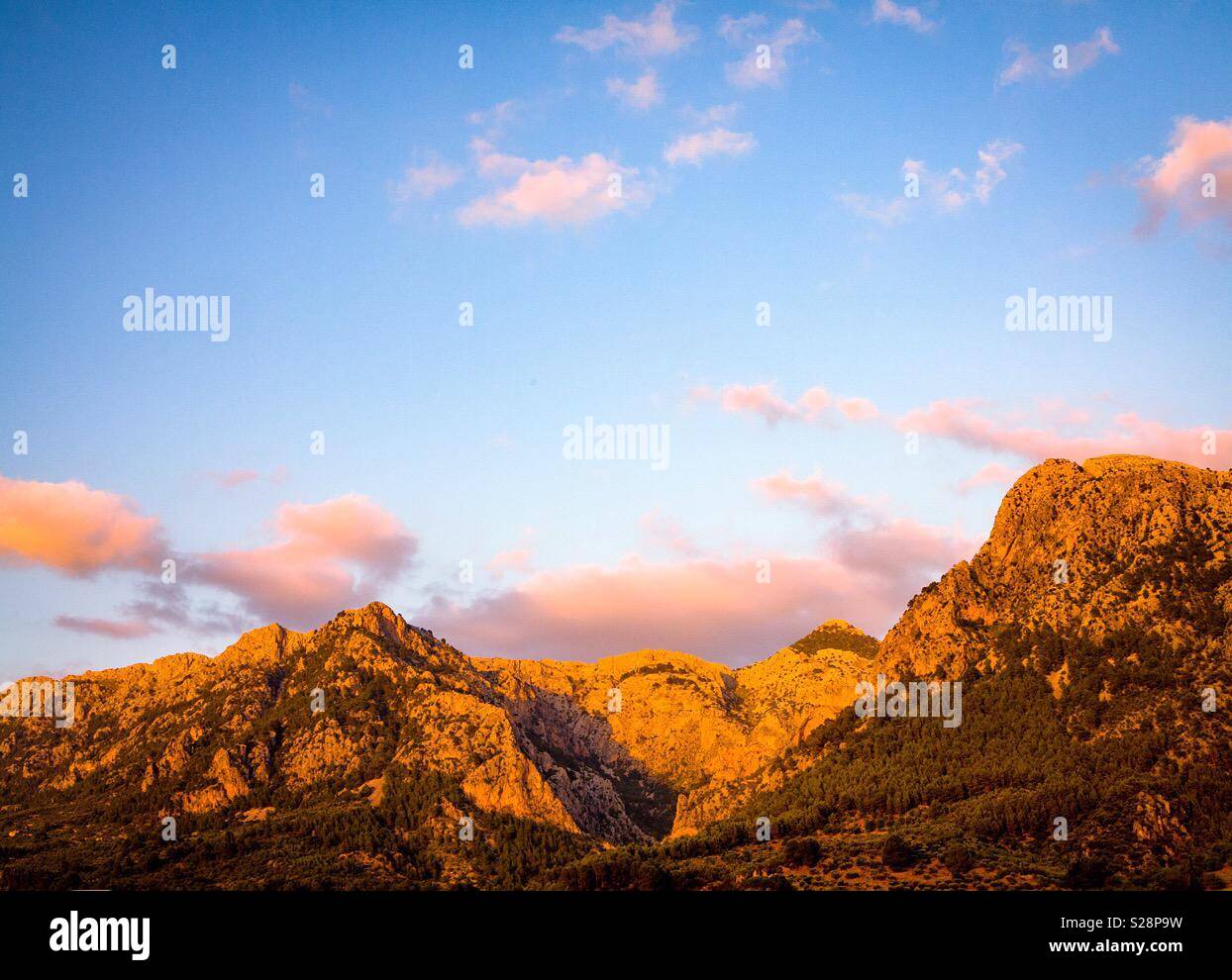Serra de Tramuntana, dans le nord de Majorque Espagne Banque D'Images