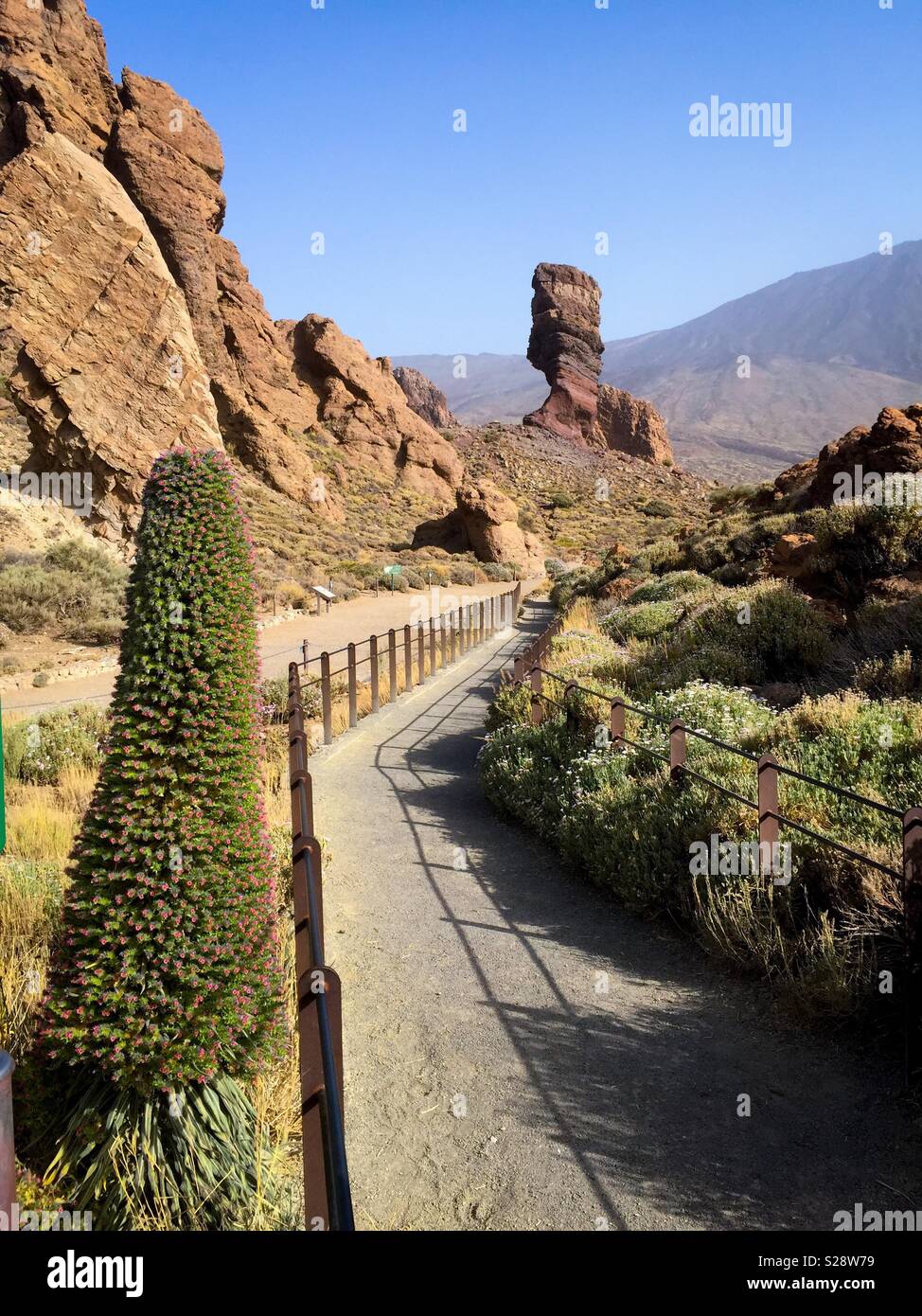 Le Parc National du Teide et Roque Cinchado Banque D'Images