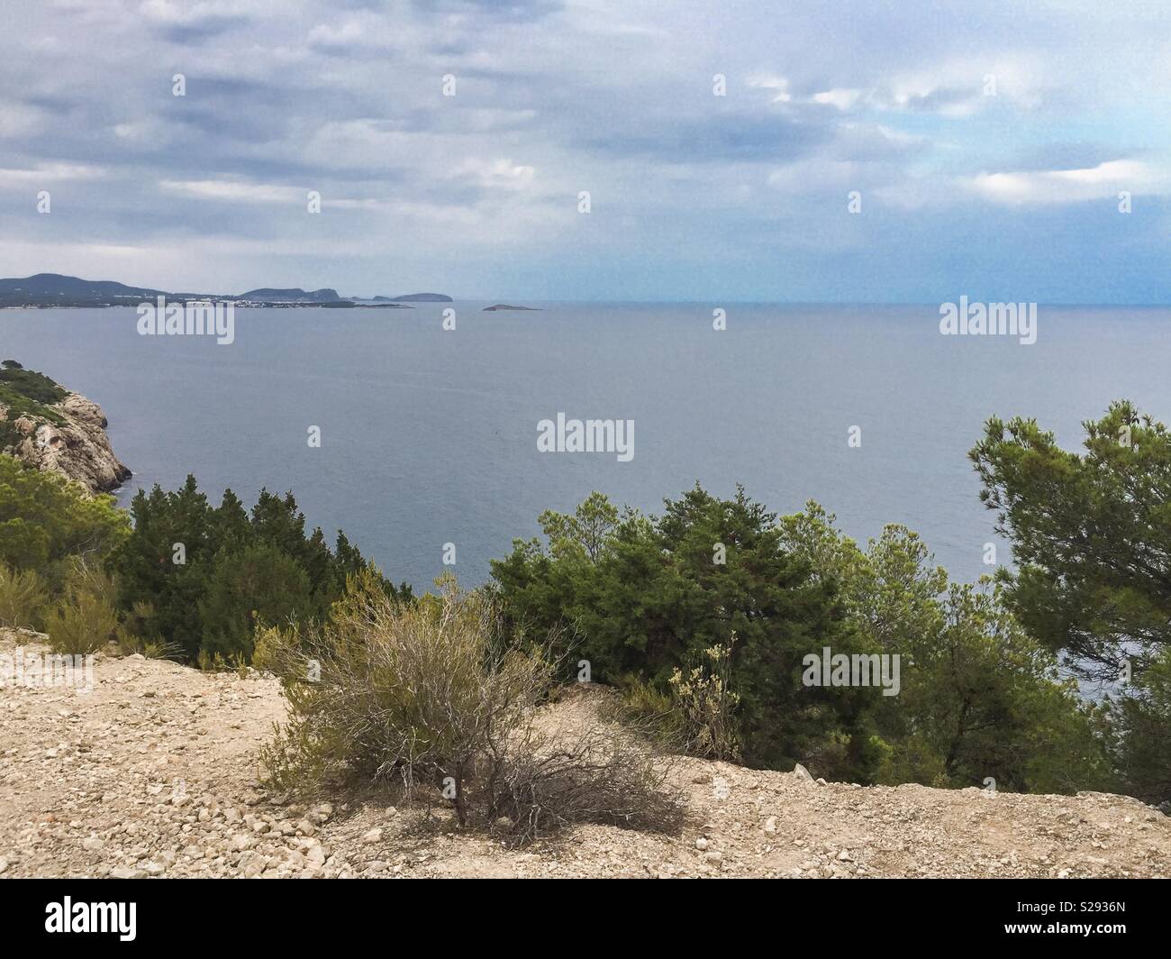 Belle vue sur paysage marin avec horizon mer calme et de pins méditerranéens sur falaise Banque D'Images