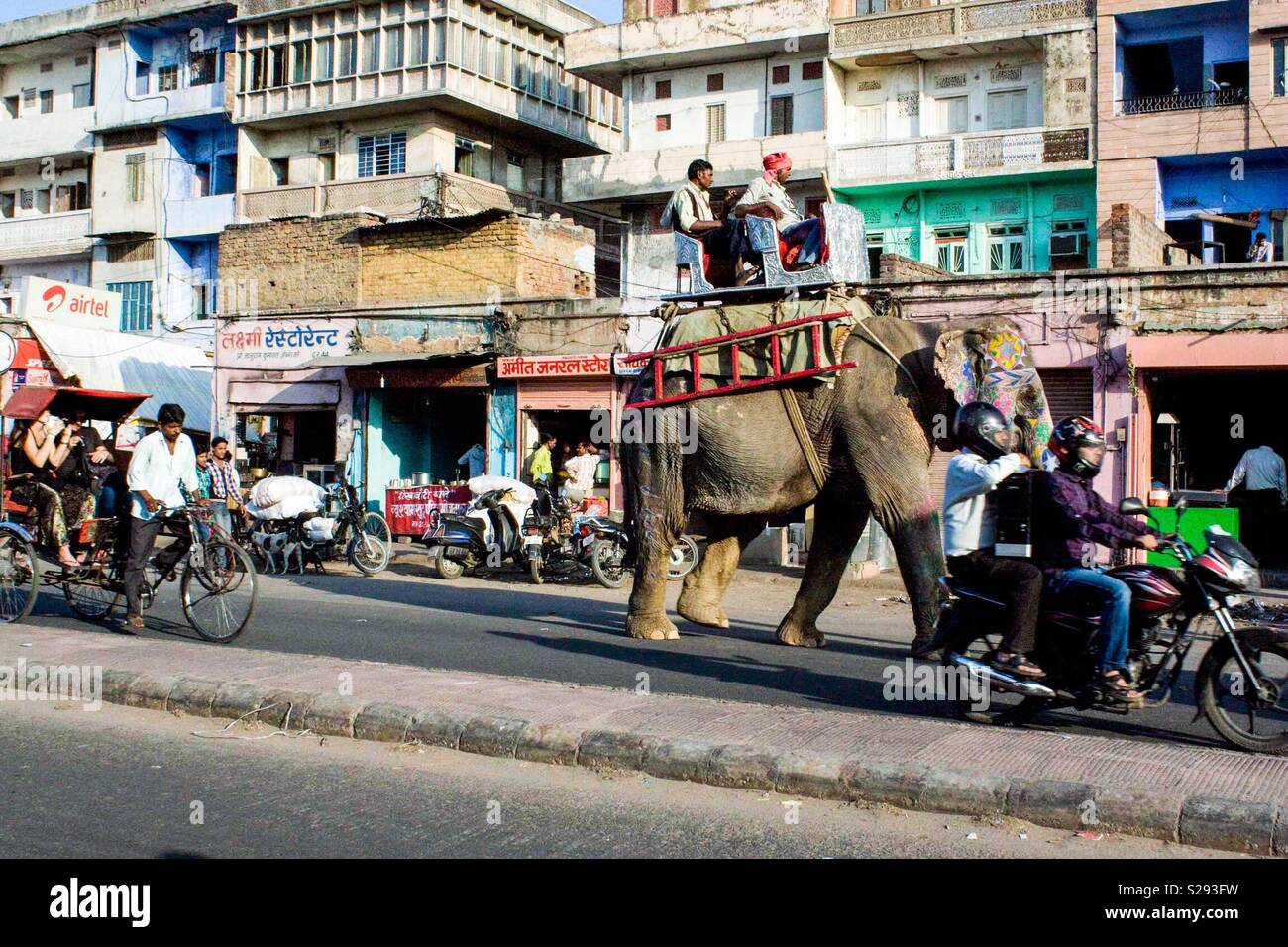 Sur une route de l'éléphant à Jaipur, Inde Banque D'Images