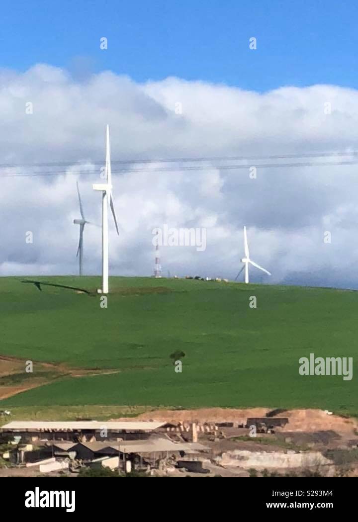 Jardin - Image de stock capturée avec un smartphone