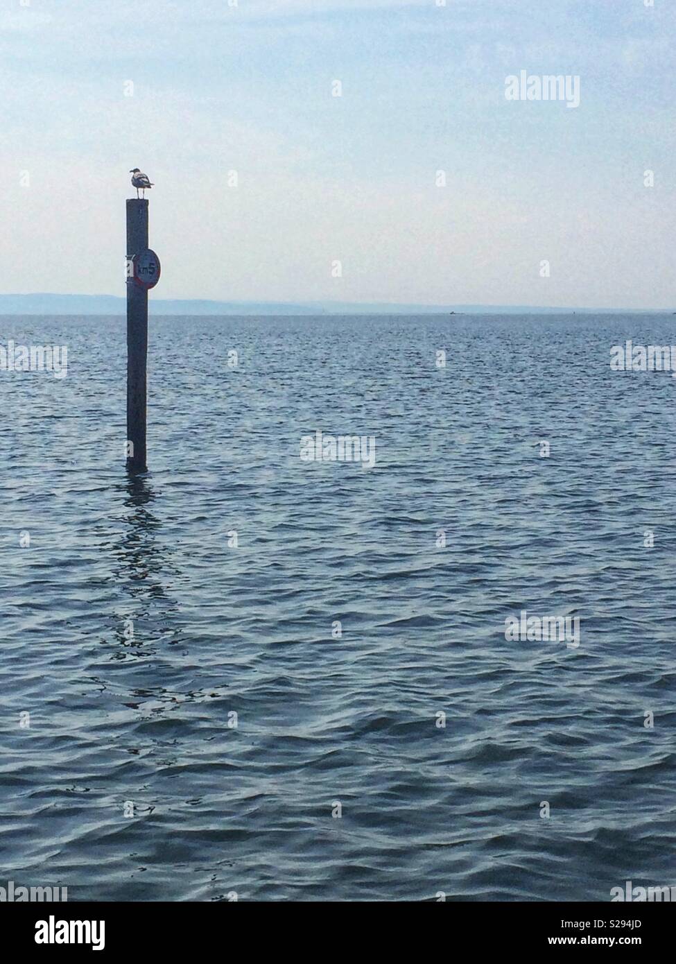 Seagull reposant sur un signal sur la mer. Banque D'Images