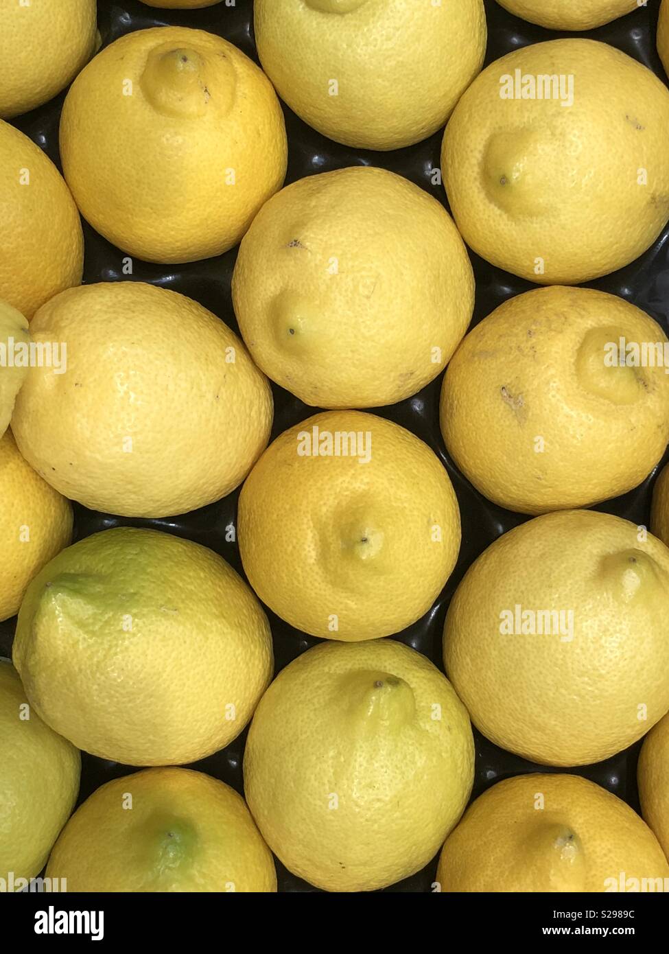Citrons entiers disposés en rangées Banque D'Images