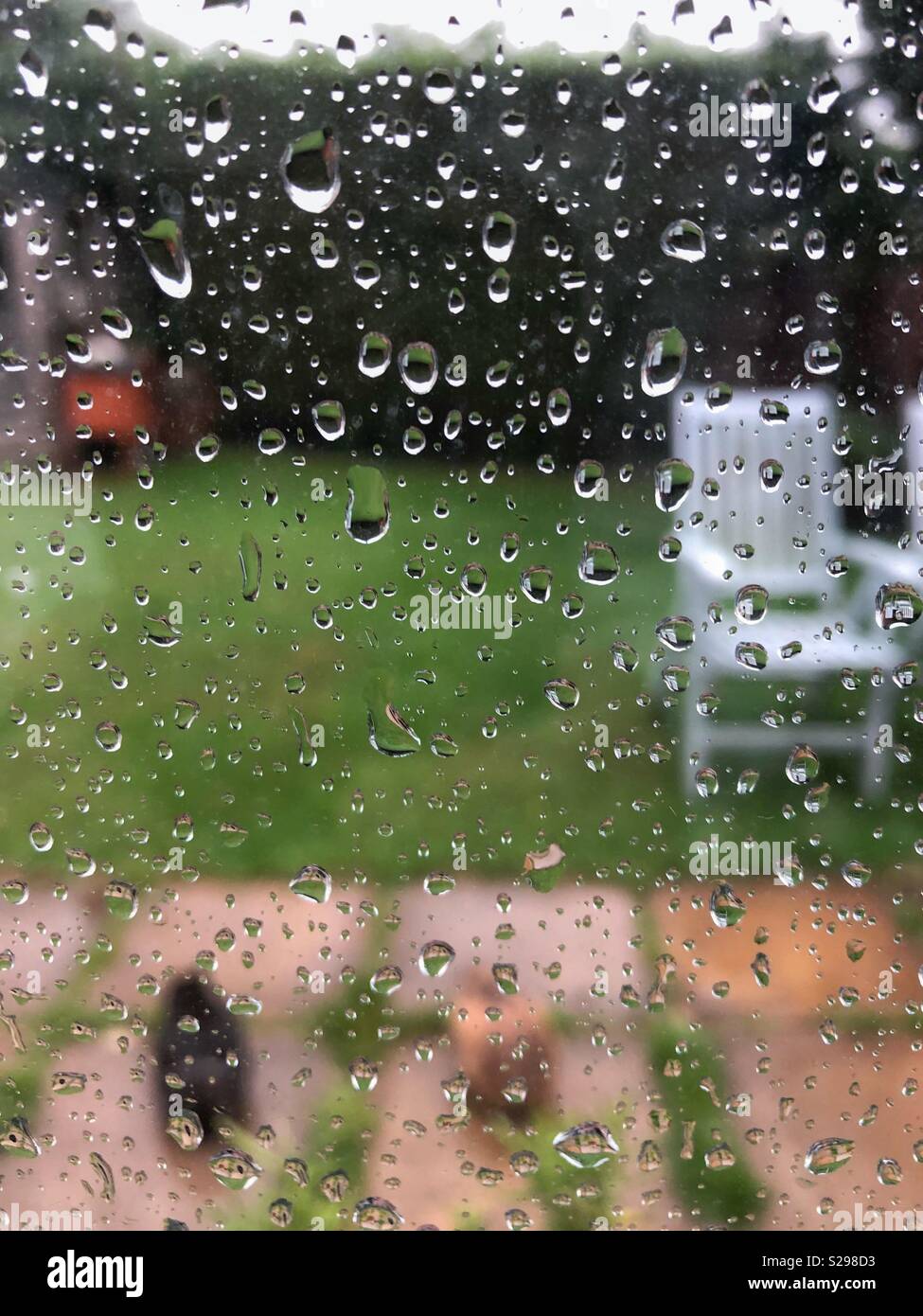 La pluie sur un volet à la veuve sur un petit jardin avec deux lapins. Banque D'Images