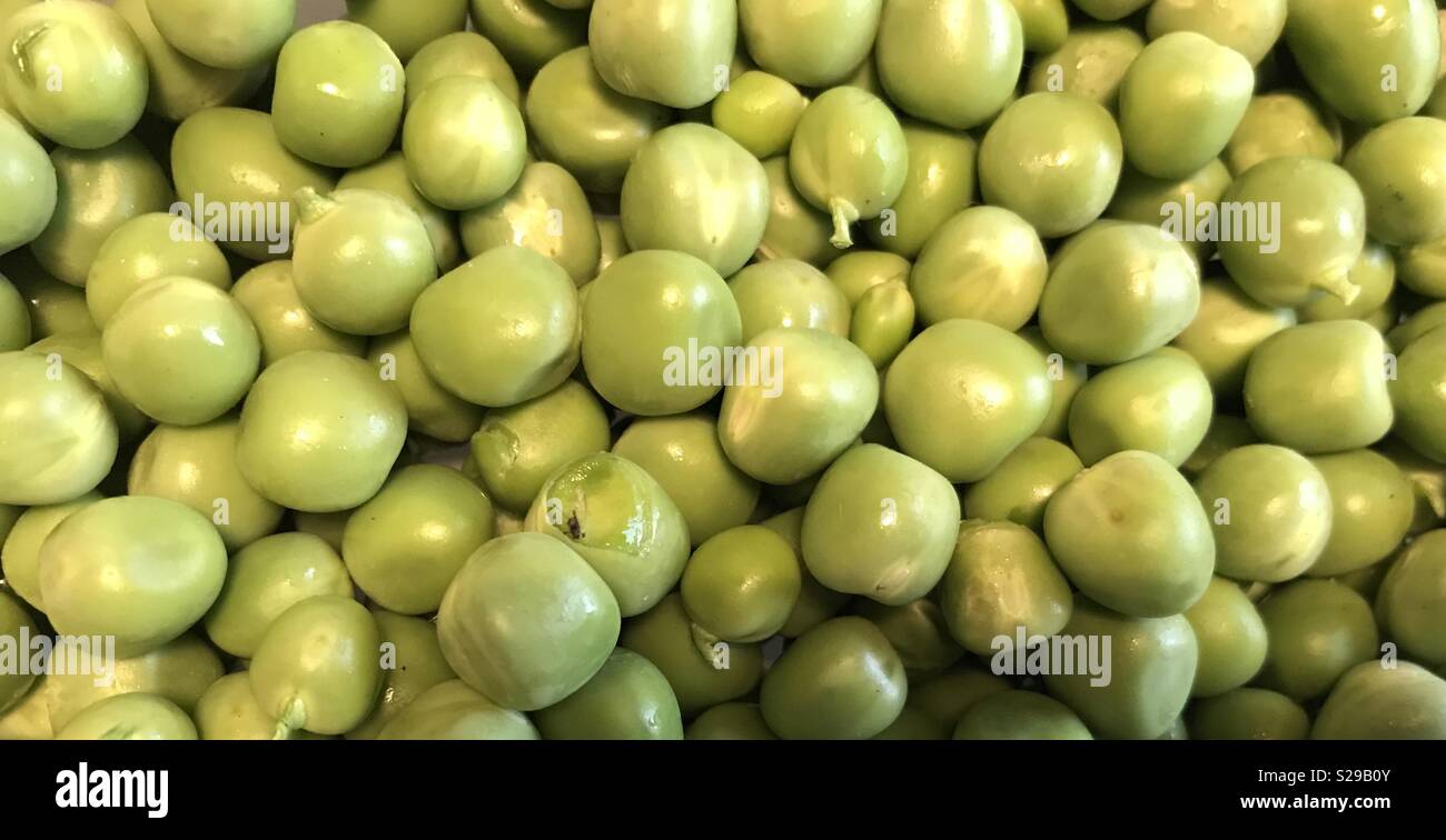 Pois fraîchement écossés homegrown Banque D'Images