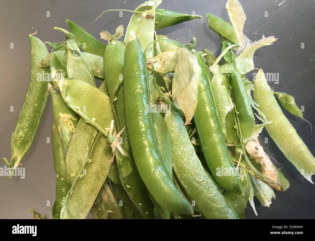 Cosses de pois Banque D'Images