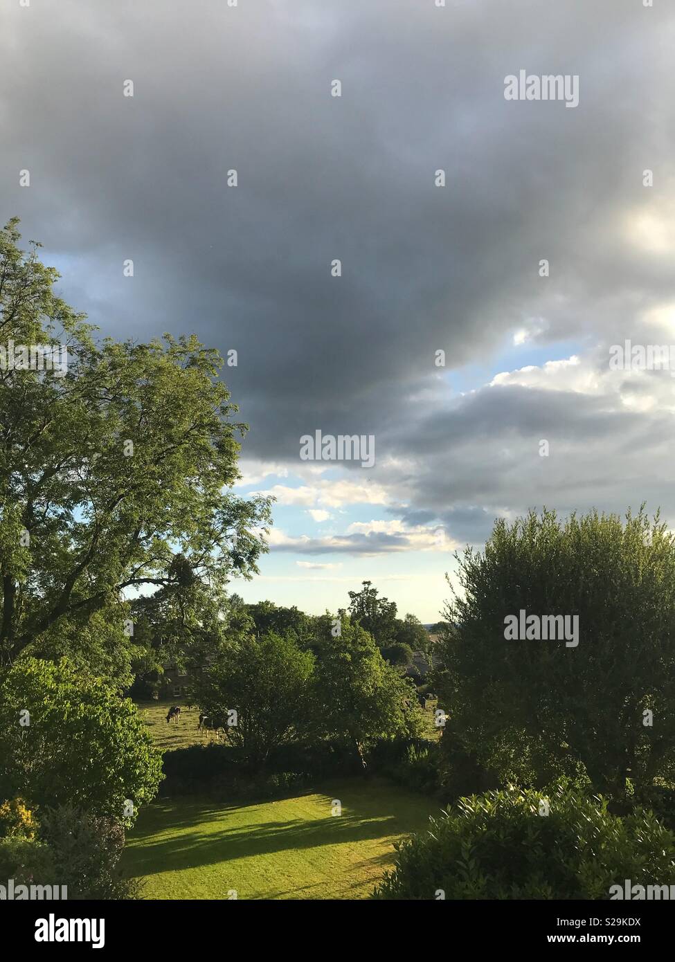 L'évolution des conditions météorologiques et de l'anglais un ciel gris. Un point de vue d'un pays dans le jardin en début de soirée avec des nuages dans un ciel changeant de nuages menaçants Banque D'Images