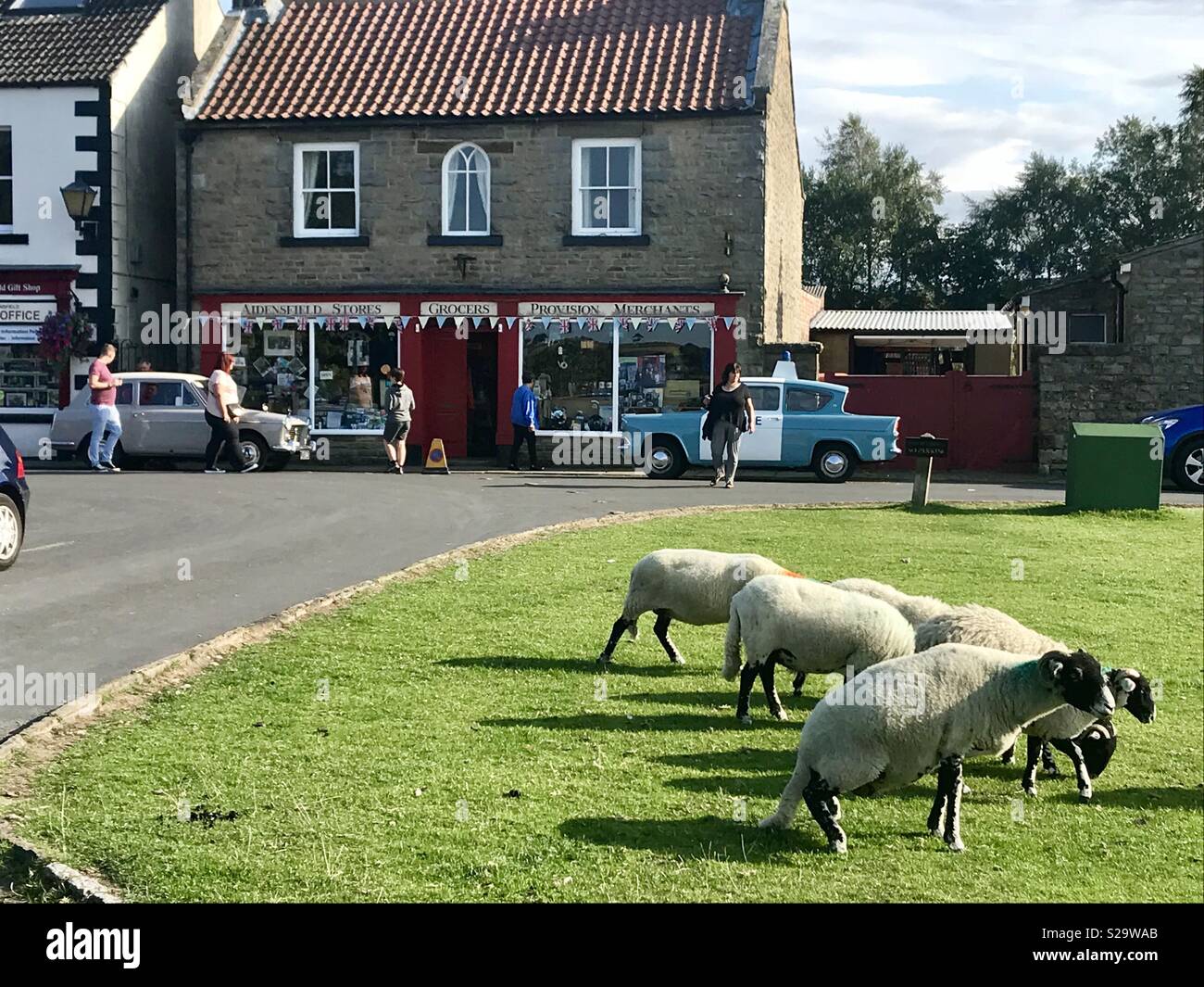 Les moutons. Goathland. Yorkshire - Image de stock capturée avec un smartphone