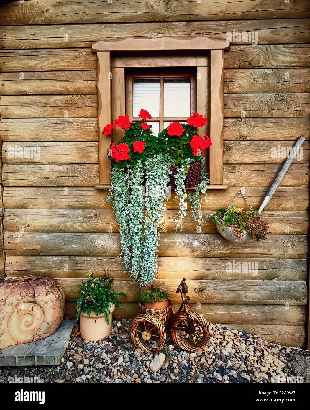 Joli décor rustique Cabane extérieur avec bac à fleurs sur un appui de  fenêtre avec les fleurs rouges Photo Stock - Alamy