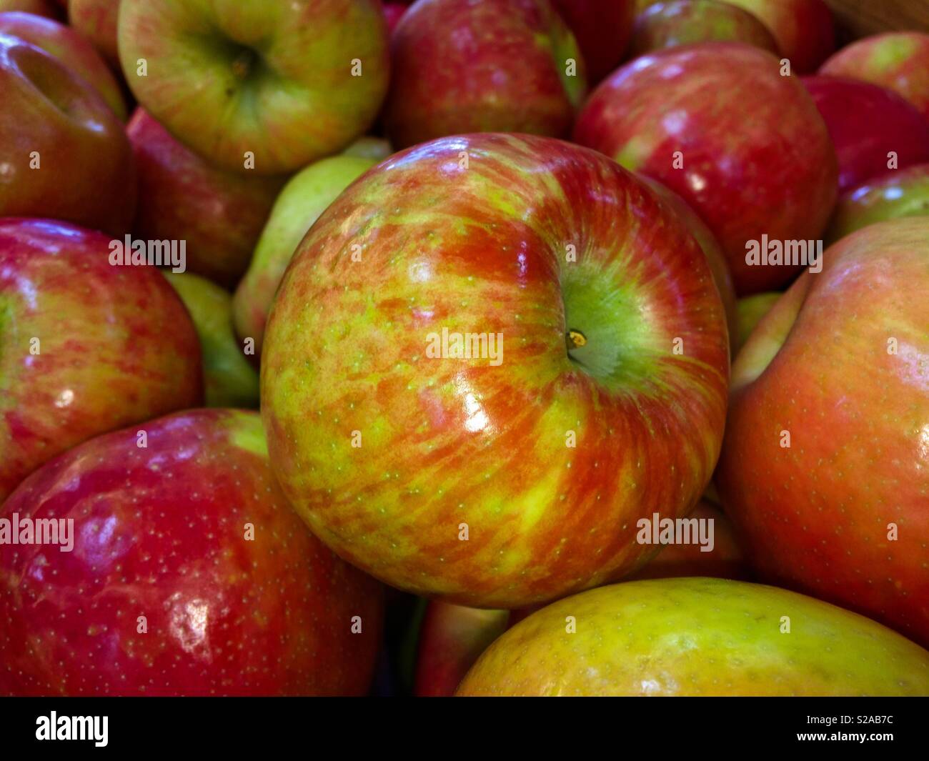 Pommes rouges dans une épicerie locale. Banque D'Images