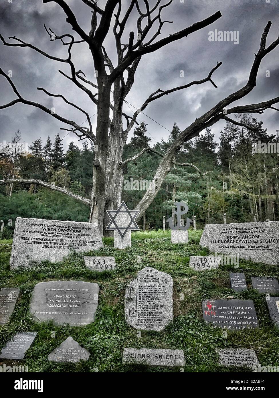 "Mur d'exécution"au camp de concentration de Gross-Rosen KL à Rogoznica, Pologne. C'est aujourd'hui un mémorial pour les victimes exécutées par les Nazis allemands pendant la Seconde Guerre mondiale. Banque D'Images