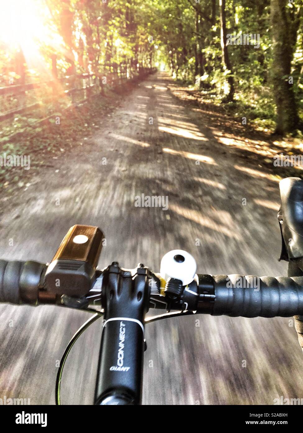Matin au travail à vélo le long de la piste d'Ely à Cardiff avec la solarisation à travers les arbres. Banque D'Images