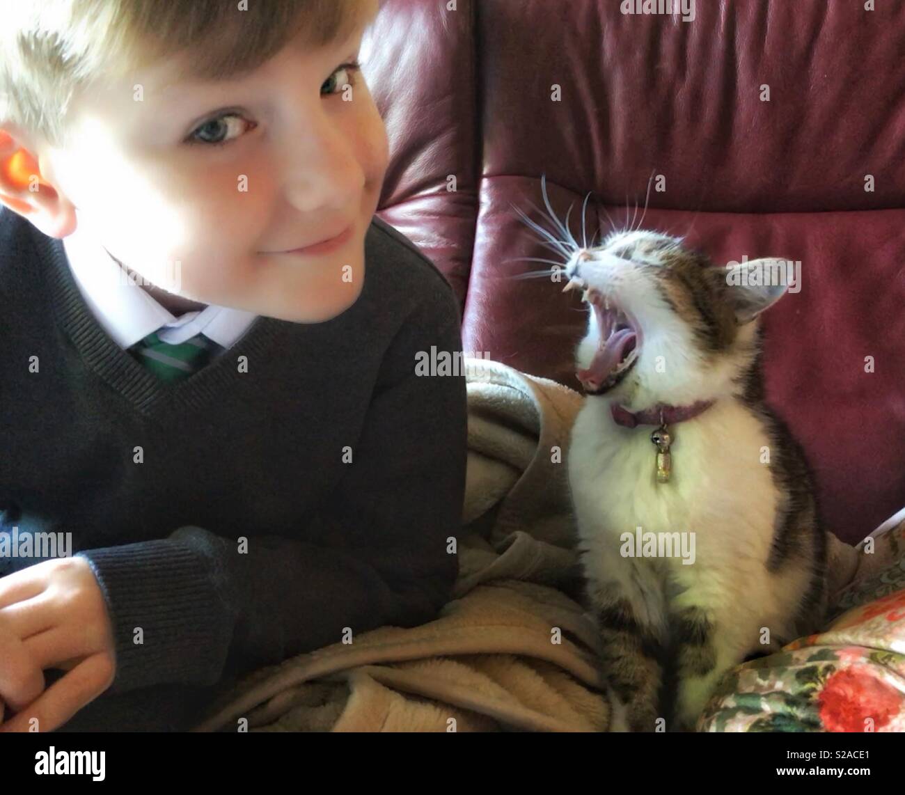 Jeune garçon et cat bâillement Banque D'Images