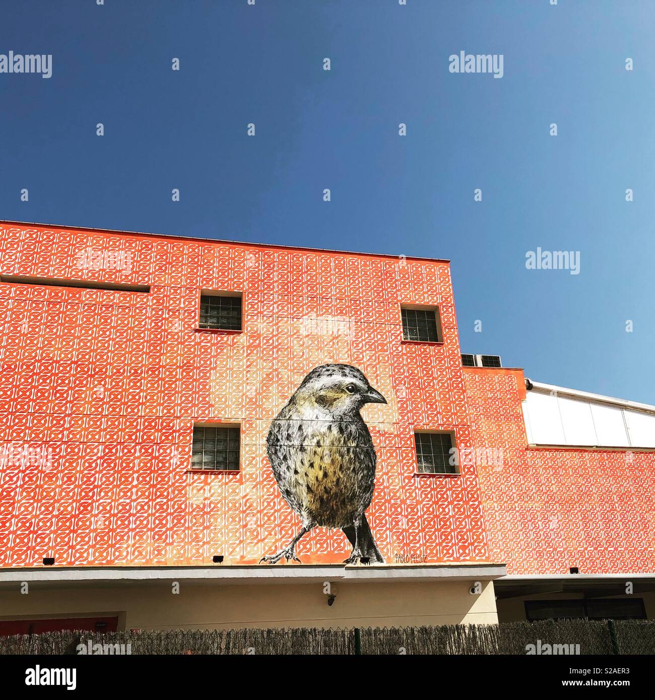Oiseaux graffiti sur le côté de la construction d'Ibiza - Image de stock capturée avec un smartphone