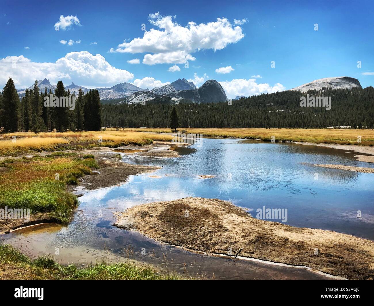 Prairies Tuolumne - Image de stock capturée avec un smartphone