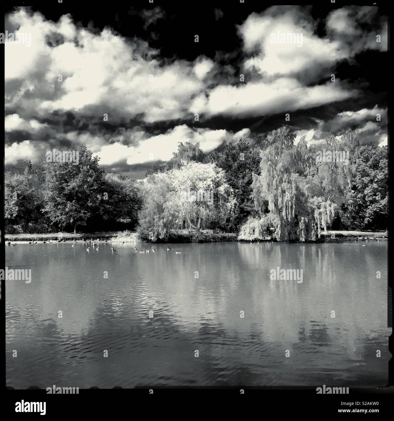 Vue sur le lac. Ancaster, Lincolnshire, Royaume-Uni. Banque D'Images