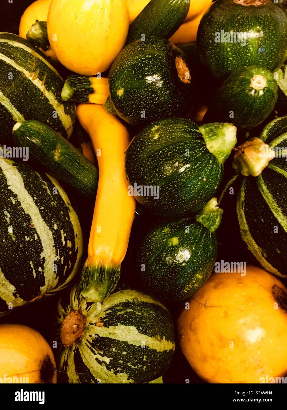 Courgettes - Image de stock capturée avec un smartphone
