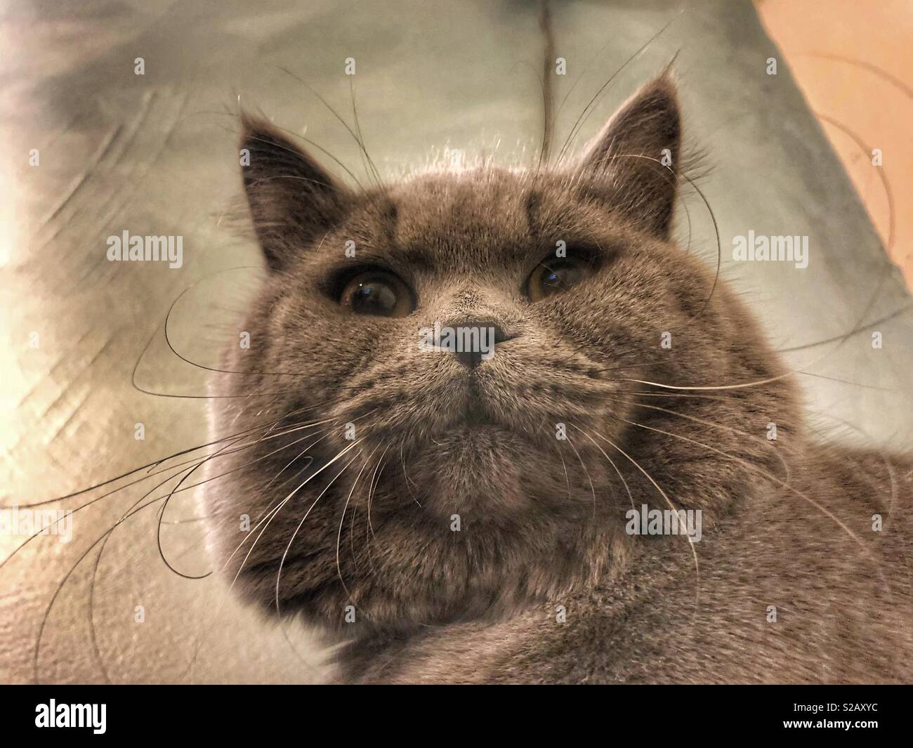 Je vous a - Image de stock capturée avec un smartphone