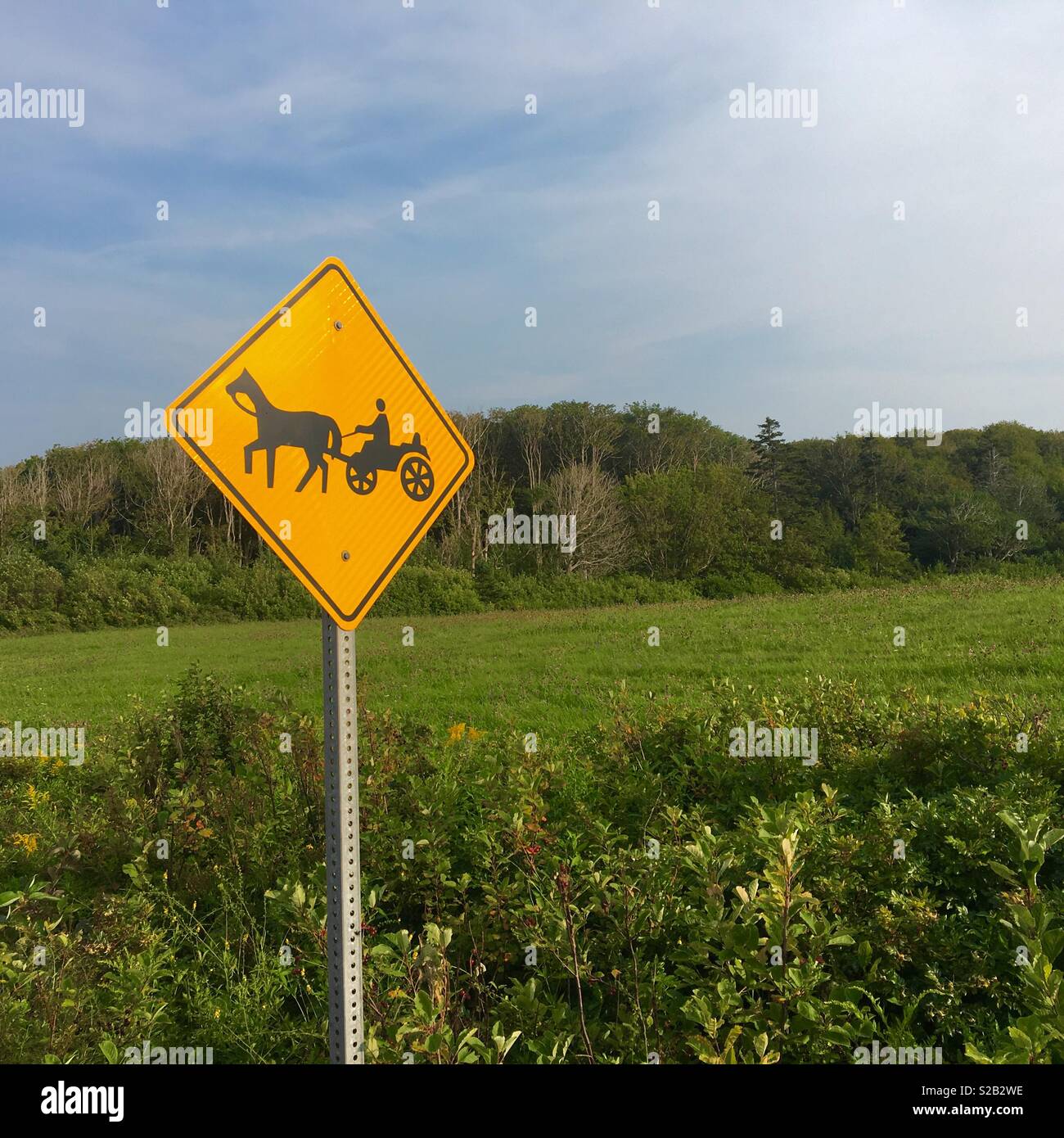 Panneau routier à cheval et chariot Banque D'Images