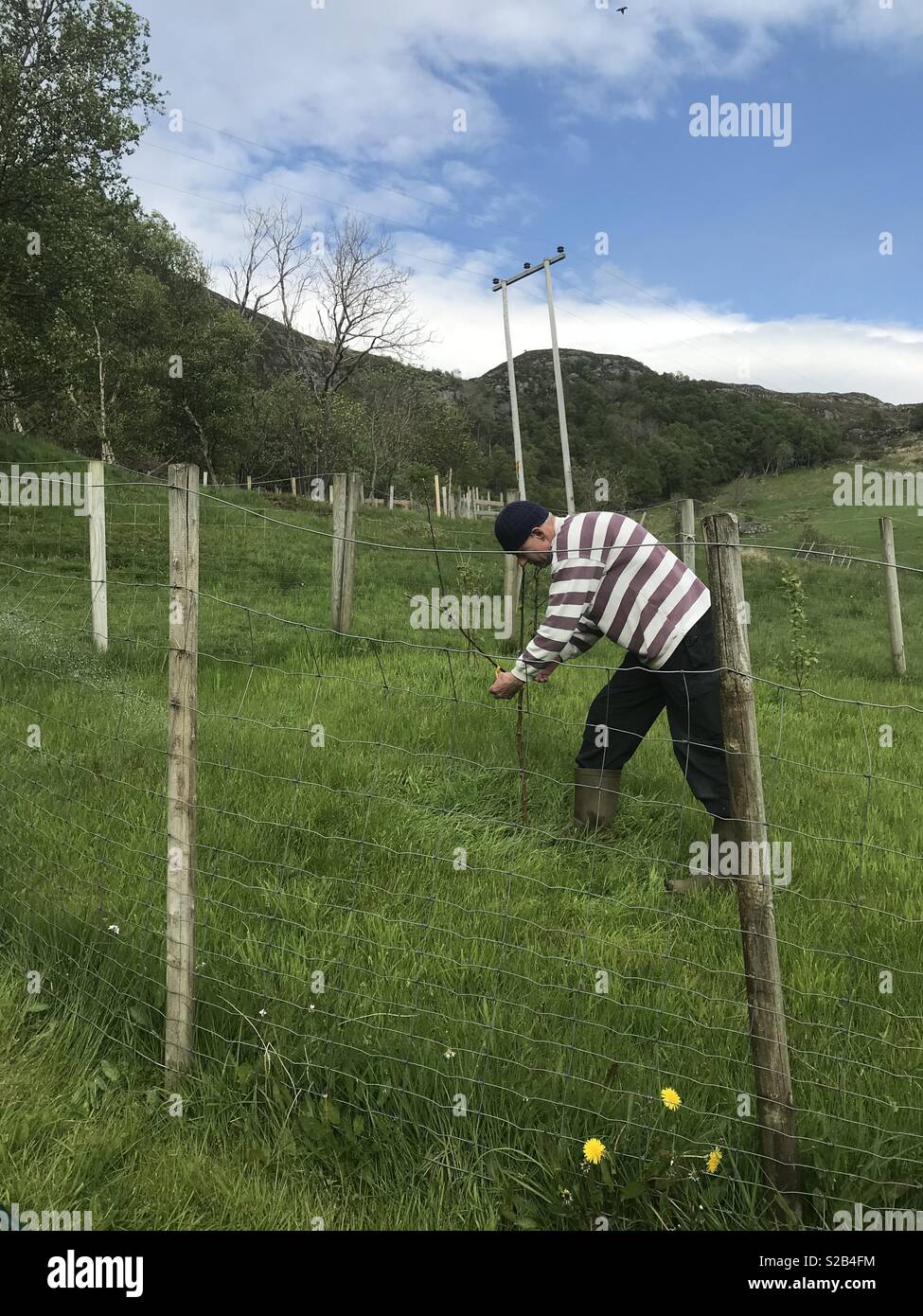 Un homme dans son jardin. Banque D'Images